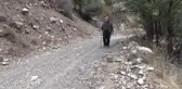Dağlardan Topladığı Bitkilerle Kentleri Süslüyor