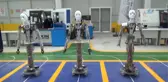 Ev Hanım, Hasta Bakıcı, Tezgahtar... Milli İnsansı Robot Seri Üretime Başladı