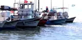 Balıkçıların Başı Yunus Balıklarıyla Dertte