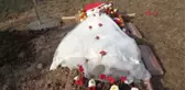 Bolu Evlendikten 8 Gün Sonra Şehit Olan Eşinin Mezarına Gelinliğini Serdi