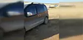 Açlıktan Ölmek Üzere Olan Köpeği Hayvansever Gençler Kurtardı