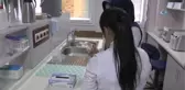 Pamukta Kullanılan Zirai İlaçlarla İlgili Açıklama