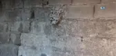 7 Kişilik Aile Arıların İstilasına Uğradı