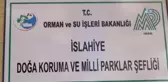 İslahiye de Yaralı Yavru Bir Atmaca Bulundu