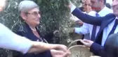 Hatay Canan Karatay Zeytin ve Zeytinyağı Tüketen Hastalanmaz