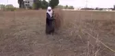 Süpürge Satarak Evini Geçindiriyor