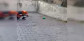 İtfaiyeden Zehirli Yılan Operasyonu
