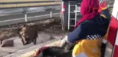Erzurum Bariyere Çarpan Araçtan Fırlayan 1 Kişi Öldü, 2 Kişi Yaralandı