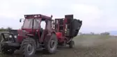 Karacabey'de Şeker Pancarı Hasadı Devam Ediyor