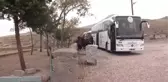 Gönüllü Melekler