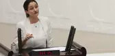 İstifasını Veren CHP'li Şafak Pavey'in Milletvekilliği Düşürüldü