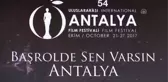 ABD'li Aktör, Yönetmen ve Müzisyen Adrian Grenier