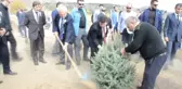 Denetimli Serbestlik Yükümlüleri 260 Fidan Dikti