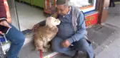 20 Gündür Kayıp Köpekle Sahibinin Duygulandıran Kavuşan Anı
