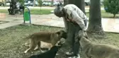 Adana'daki Sokak Köpekleri Onun Yolunu Gözlüyor