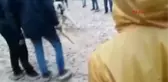 Adıyaman Köpek Dövüştürenlere Operasyon