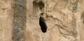 Bin Yıllık Bu Tuvalet Şaşkına Çeviriyor