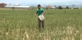 Taşköprü Sarımsağında Fiyat Tartışması