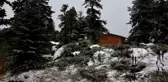 Yeşil ve Beyaz Bir Arada