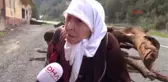 Rize Yalnız Yaşayan Nine, Kışlık Yakacak Derdine Düştü