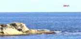 Şile'de Arama-Kurtarma Çalışmaları Devam Ediyor