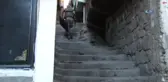 Diyarbakır'daki Operasyonda Aranan 8 Şahıs Yakalandı