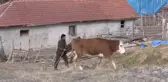 Çobandan Dallara Sanatsal Dokunuş