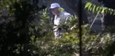 Trump ve Abe'den Siyasete Golf Arası