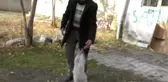 Ağrılı Vatandaş Gözü Kör Olan Kedi İçin Yardım Bekliyor