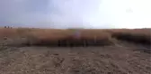 Çölleşen Araziler Enerjiye Dönüşecek