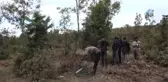 Ekmeklerini Mangal Kömürü Yaparak Kazanıyorlar