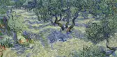 Şok Eden Keşif! 128 Yaşındaki Van Gogh Tablosunda Çekirge Bulundu