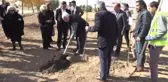 Sanatçılar, Kayısı Fidanı Dikti