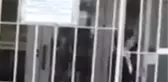 Yunanistan'da 17 Kasım Terör Örgütü Üyesine İzin Tartışmaları