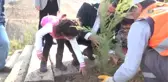 11.11.2017 Günü Saat 11: 11'de 11 Bin 11 Adet Ardıç Fidanı Dikildi