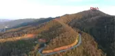 Trabzon Yangında Zarar Gören Çamburnu Ormanından Kötü Haber