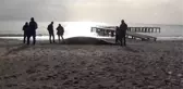 Ölü Balina Kıyıya Vurdu (2)