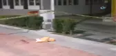 Kadın Cinayetine Engel Olmak İsterken Canından Oldu