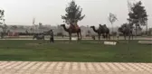 Küçük Şehidin Adı Oynadığı Parklarda Yaşatılıyor