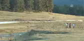 Ayakta Durması Şaşırtıcıydı, Şimdi Yakalanamıyor - Bolu