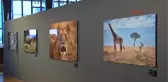Oyuncu Engin Altan Düzyatan'ın Afrika'da Çektiği Fotoğraf Sergisi Açıldı