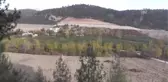 Şahinkaya Ayvasına Yurt Dışından Yoğun Talep