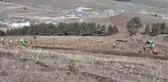 Her Öğretmen İçin Bir Fidan Diktiler