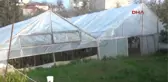 Giresun'da Kadın Çiftçiler Üretiyor