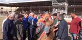 Havut Giydirme ve Daylak Güreşi Yapıldı