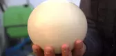 Hobi Olarak Başladı, Siparişlere Yetişemiyor! Deve Kuşu Yumurtasının Tanesi 120 TL!