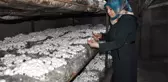 Hobi Olarak Başladı, İş Sahibi Oldu