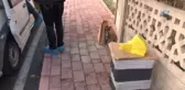 Öğretmenler Gününde, Emekli Öğretmen Oğlunu Öldürdü