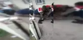 Sakarya Köpeklerin Kovaladığı Karacayı Kurtarıp Jandarmaya Teslim Etti