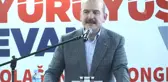 Soylu: 